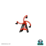 چرخ و فلک در سازه های حرکتی کارنا