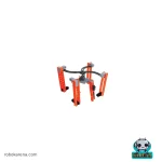 چرخ و فلک در سازه های حرکتی کارنا